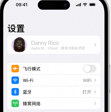 文儒镇appleID维修服务iPhone设置中Apple ID显示为灰色无法使用 