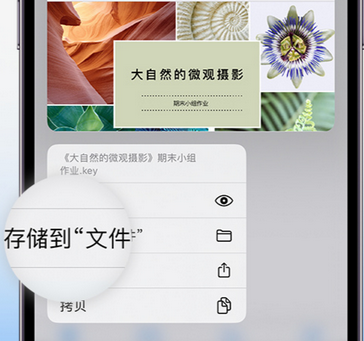 文儒镇apple维修中心分享iPhone文件应用中存储和找到下载文件