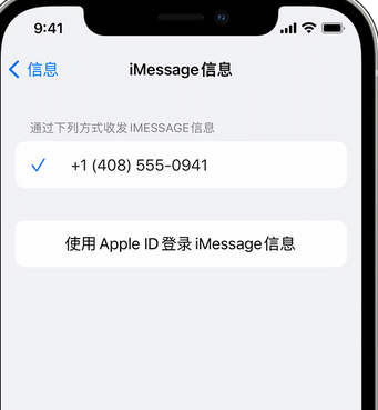 文儒镇apple维修iPhone上无法正常发送iMessage信息 