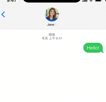 文儒镇apple维修iPhone上无法正常发送iMessage信息