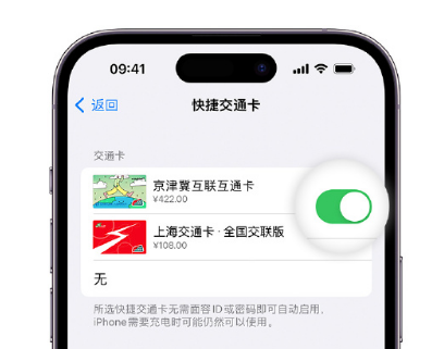 文儒镇apple维修点分享iPhone上更换Apple Pay快捷交通卡手绘卡面 