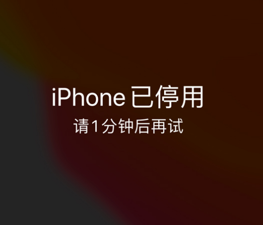 文儒镇苹果手机维修分享:iPhone 显示“不可用”或“已停用”怎么办？还能保留数据吗？ 