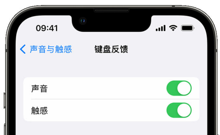 文儒镇苹果手机维修分享iPhone 14触感键盘使用方法 