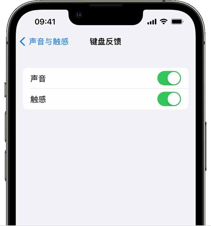 文儒镇苹果14维修店分享如何在 iPhone 14 机型中使用触感键盘 