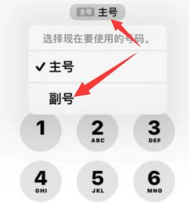 文儒镇苹果14维修店分享iPhone 14 Pro Max使用副卡打电话的方法 