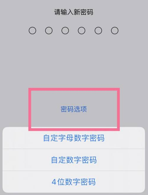 文儒镇苹果14维修分享iPhone 14plus设置密码的方法 