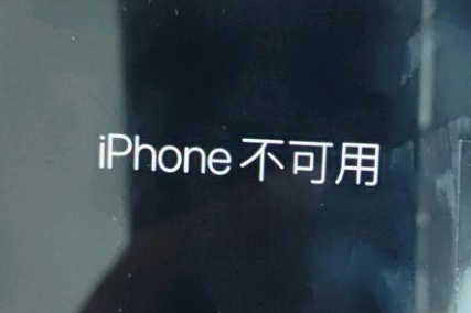 文儒镇苹果服务网点分享锁屏界面显示“iPhone 不可用”如何解决 