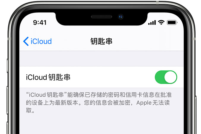 文儒镇苹果手机维修分享在 iPhone 上开启 iCloud 钥匙串之后会储存哪些信息 