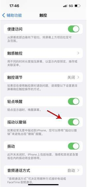 文儒镇苹果手机维修分享iPhone手机如何设置摇一摇删除文字 